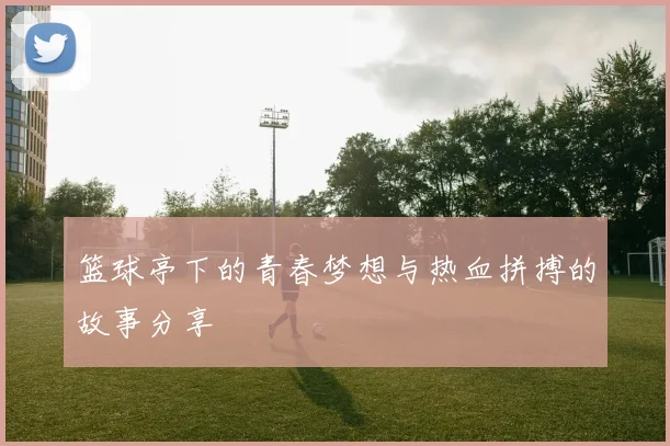 篮球亭下的青春梦想与热血拼搏的故事分享