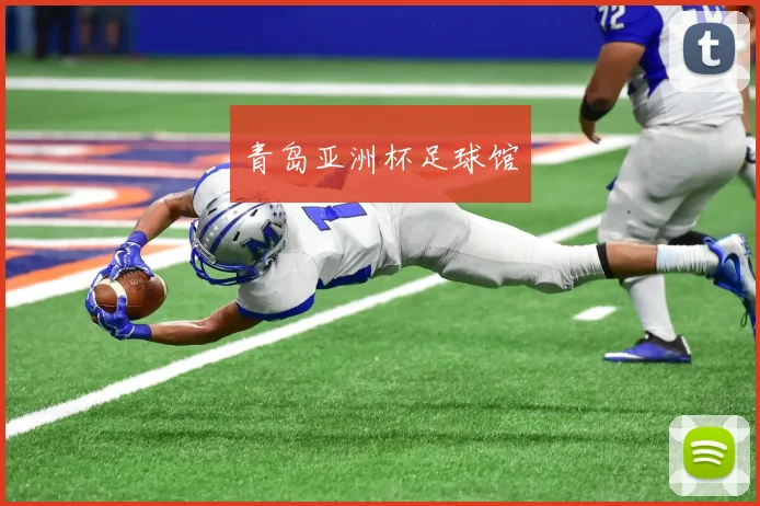青岛亚洲杯足球馆