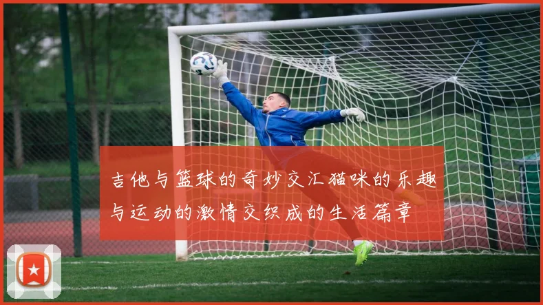 吉他与篮球的奇妙交汇猫咪的乐趣与运动的激情交织成的生活篇章