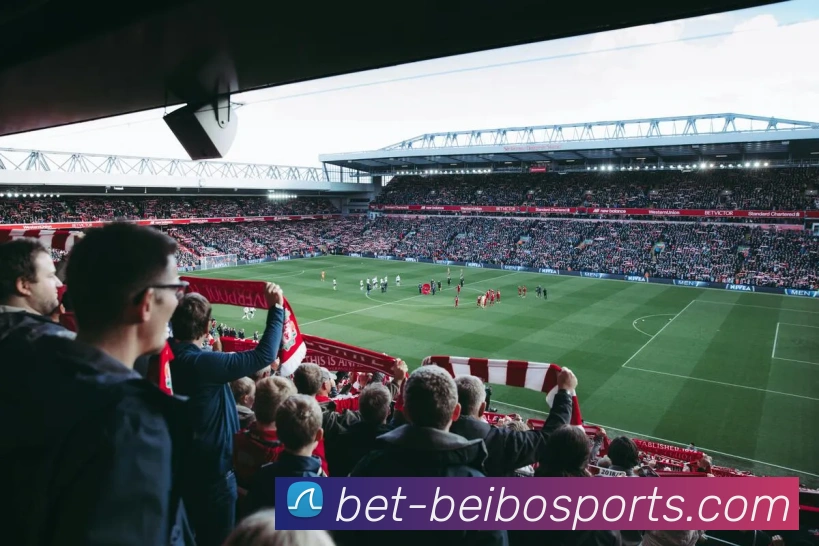 贝博体育网站APP 封面图